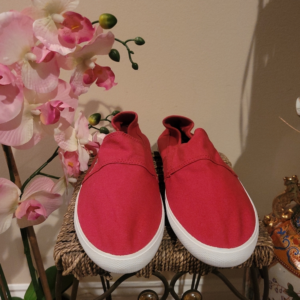 Lacoste - Picture 2 of 3